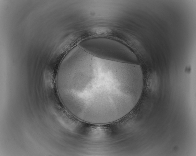 X0000114560316200911091224
