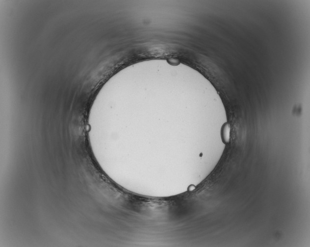 X0000114560317200911091224