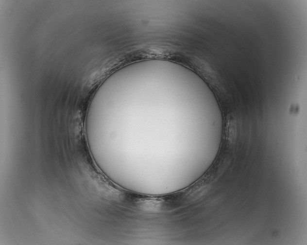 X0000114560318200911091224