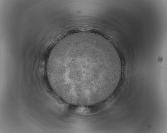 X0000114560319200911091224