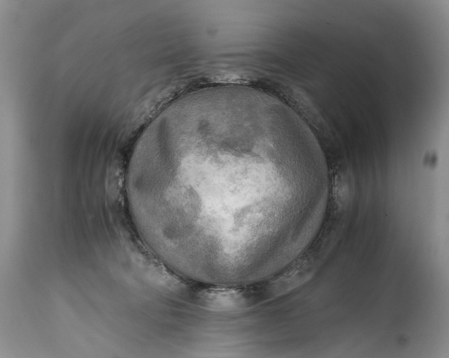 X0000114560322200911091224