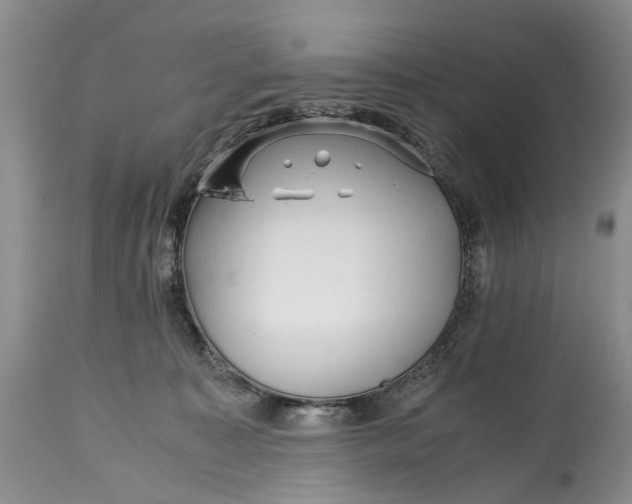 X0000114560323200911091224