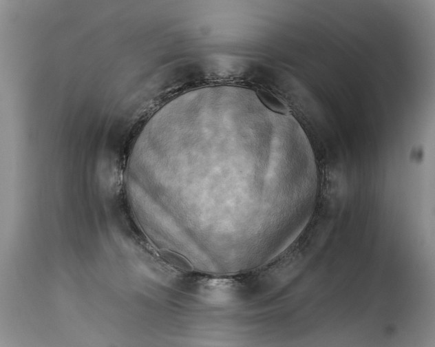 X0000114560324200911091224