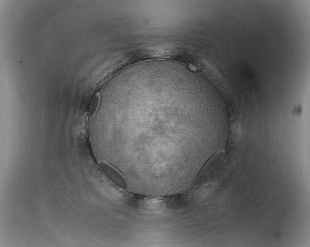 X0000114560325200911091224