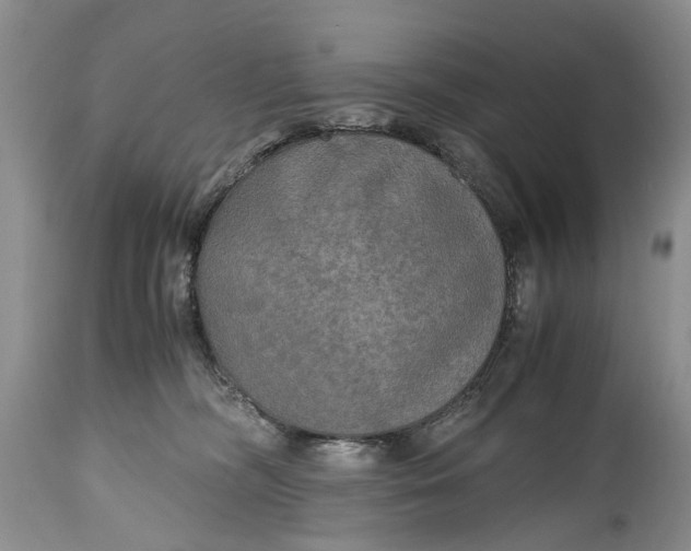 X0000114560326200911091224