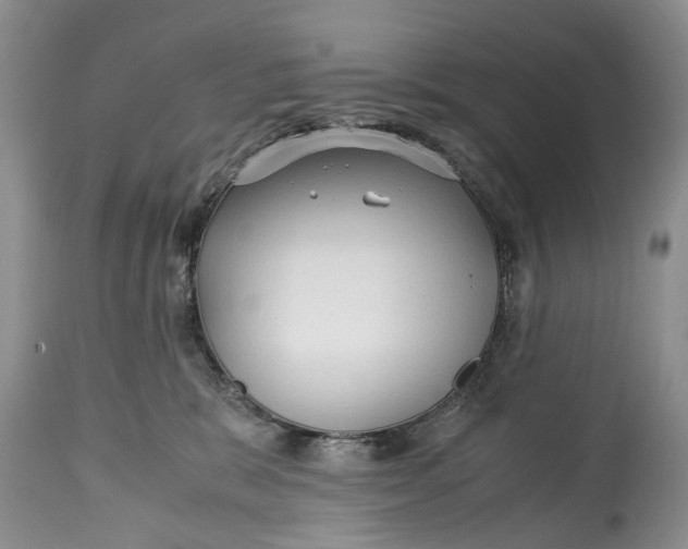 X0000114560327200911091224