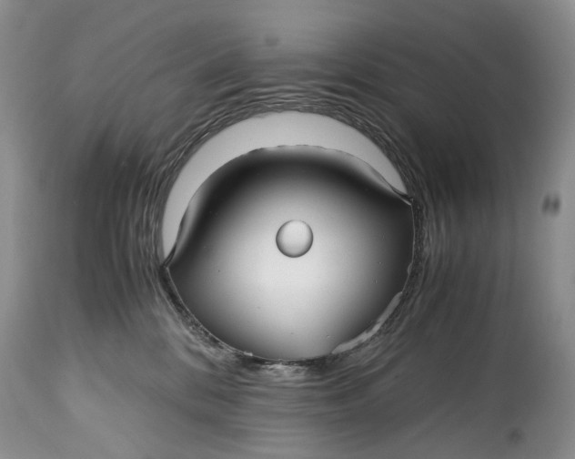 X0000114560328200911091224
