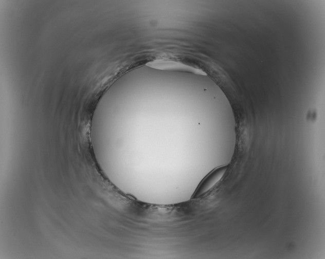 X0000114560329200911091223