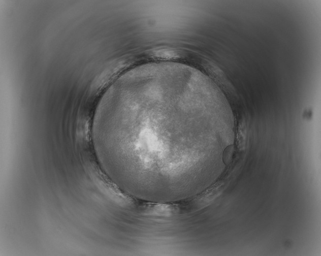 X0000114560330200911091223
