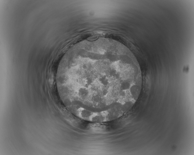 X0000114560331200911091223
