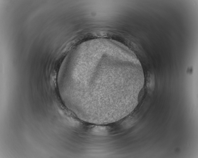 X0000114560332200911091223