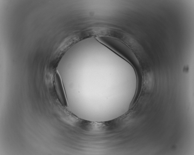 X0000114560333200911091223