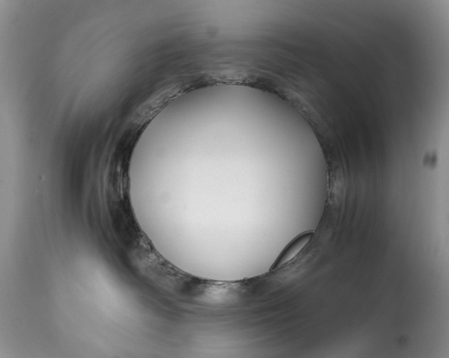 X0000114560334200911091223