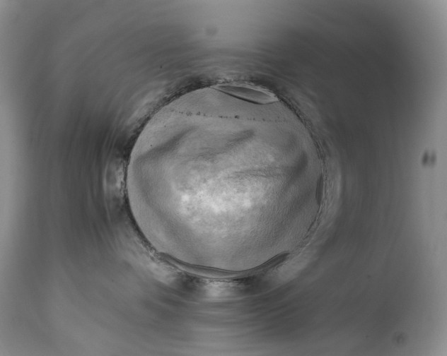 X0000114560336200911091223