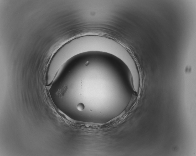 X0000114560337200911091223
