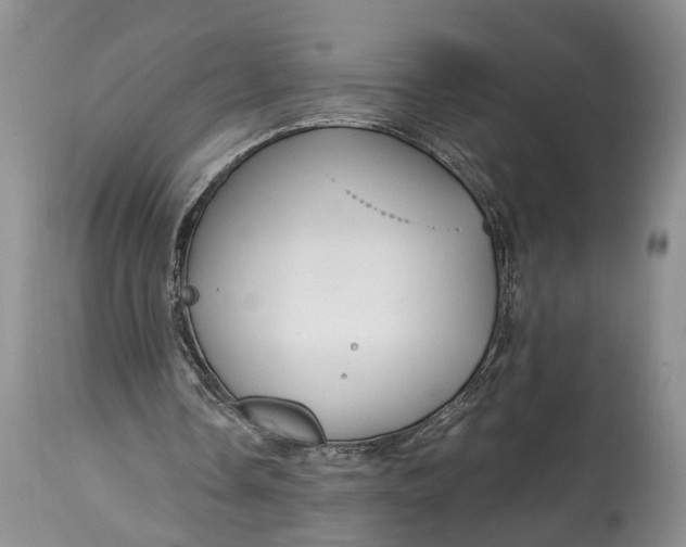 X0000114560338200911091223