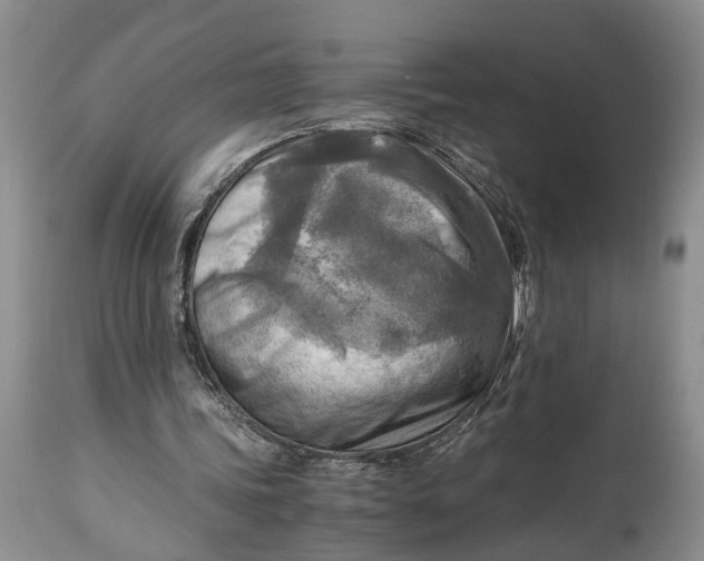 X0000114560339200911091223