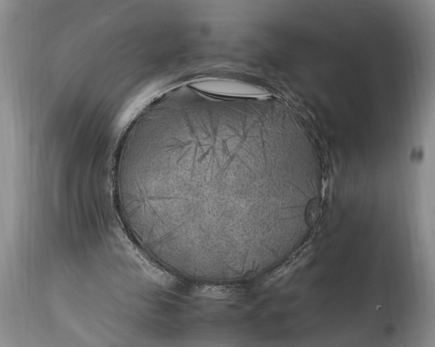 X0000114560341200911091223