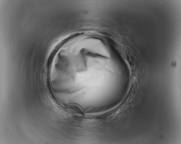 X0000114560342200911091223