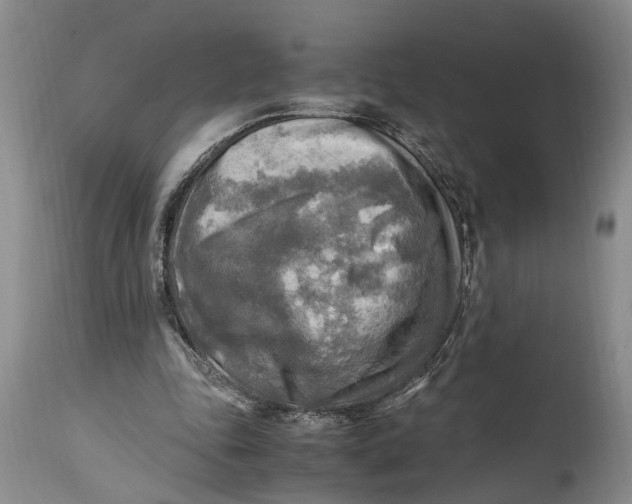 X0000114560343200911091223