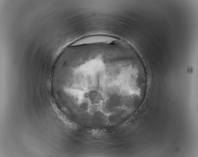 X0000114560345200911091223
