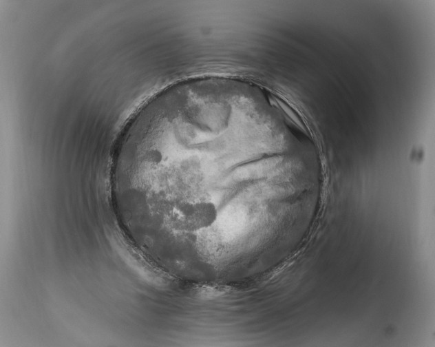 X0000114560346200911091223