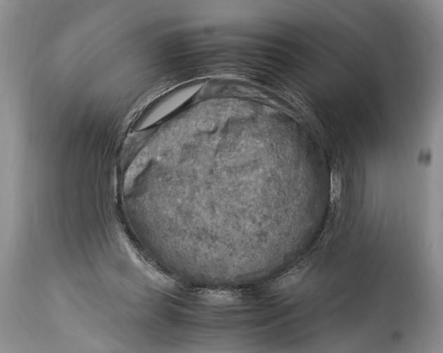 X0000114560349200911091223