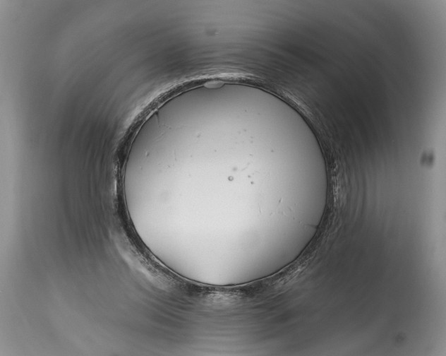 X0000114560350200911091223