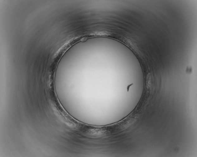 X0000114560351200911091223