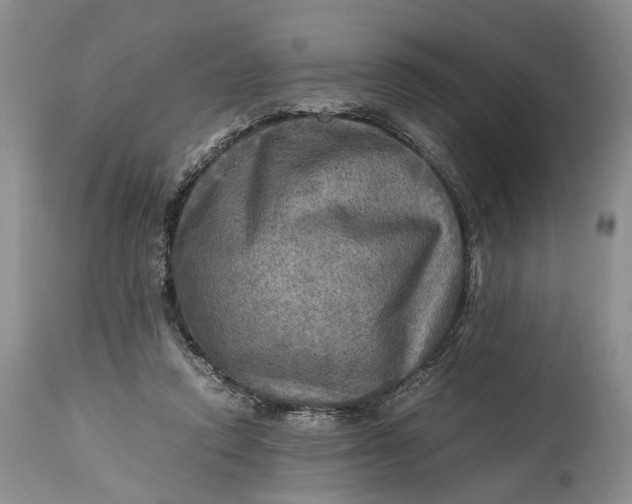 X0000114560354200911091223