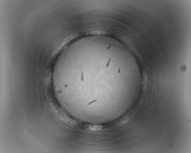 X0000114560355200911091223
