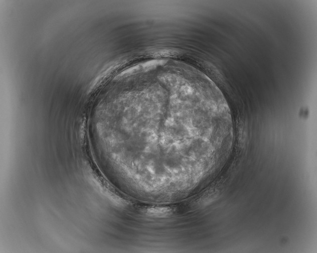 X0000114560357200911091223
