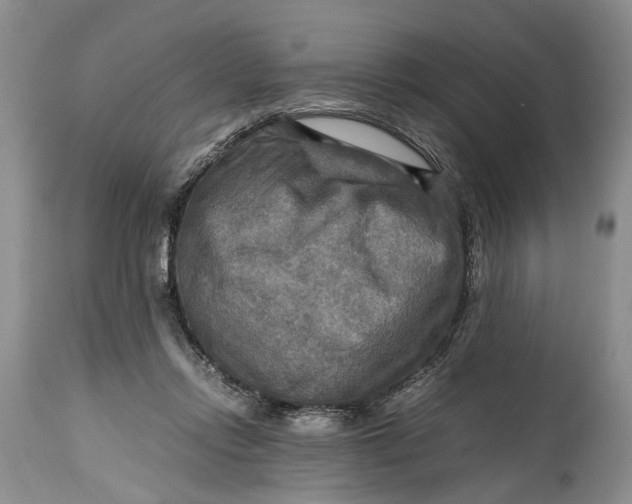 X0000114560358200911091223