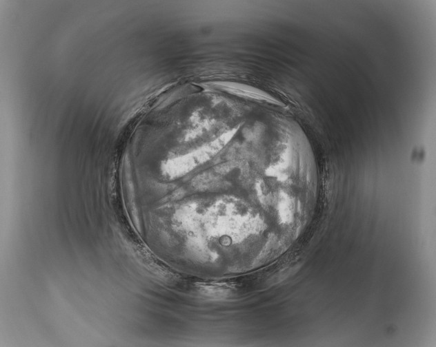 X0000114560359200911091223