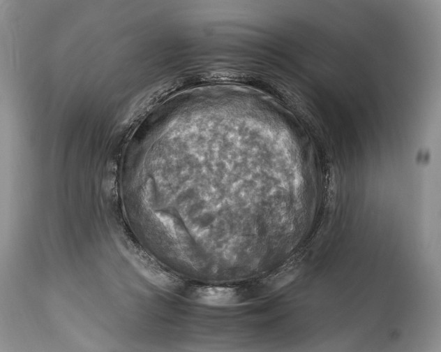 X0000114560361200911091223