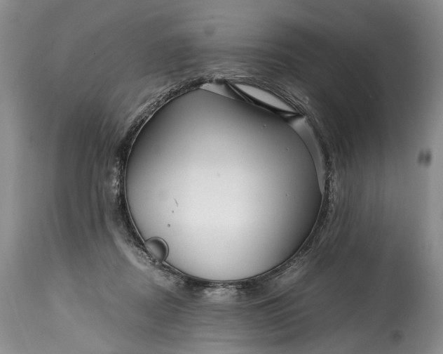 X0000114560362200911091223