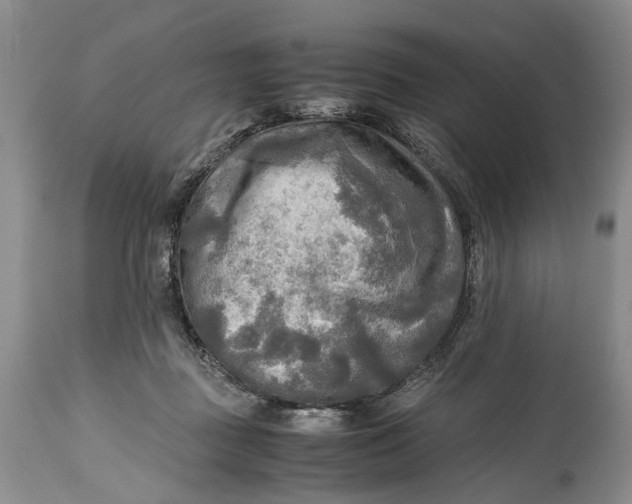 X0000114560363200911091223