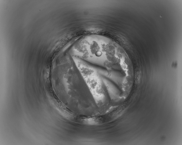 X0000114560365200911091223