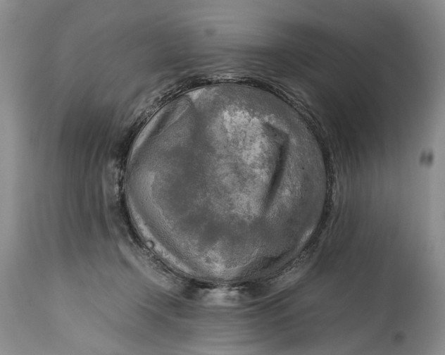 X0000114560366200911091223