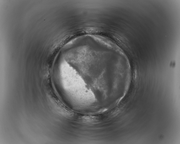 X0000114560367200911091223