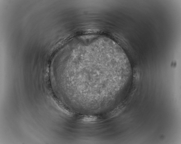 X0000114560369200911091223