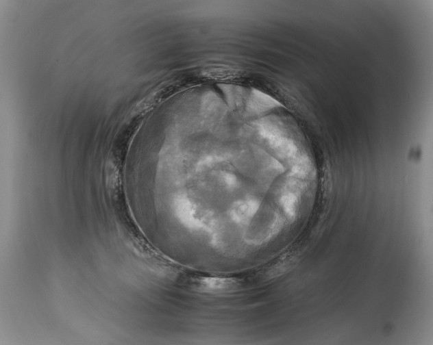 X0000114560371200911091223