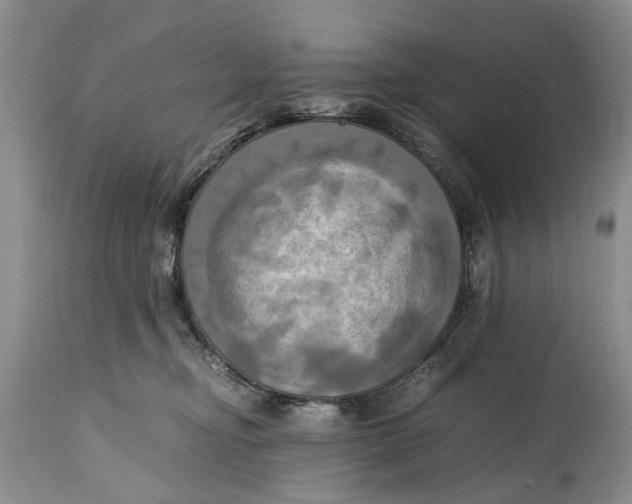 X0000114560374200911091223