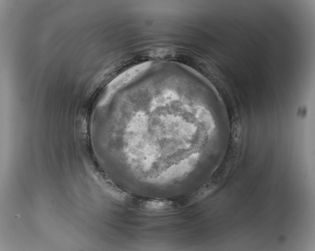 X0000114560375200911091223