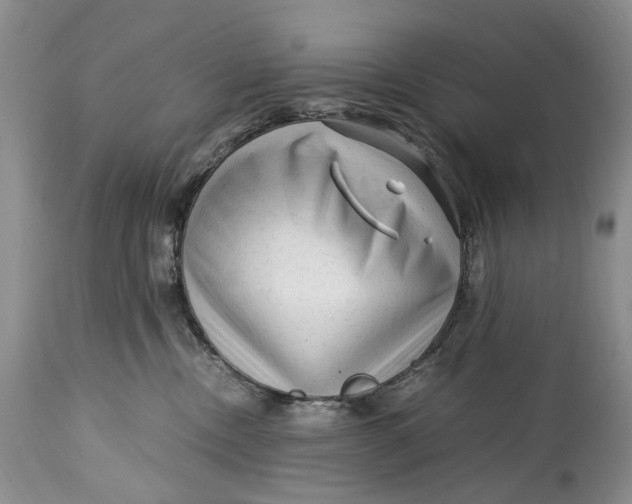 X0000114560378200911091223
