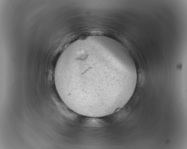 X0000114560379200911091223