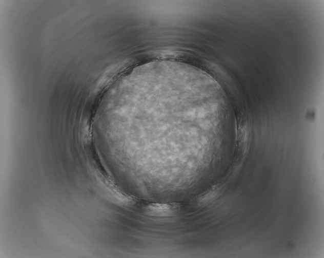 X0000114560381200911091223