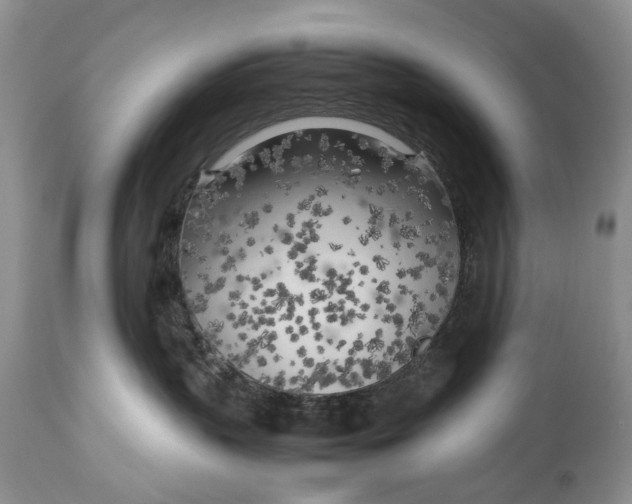 X0000114560383200911091223