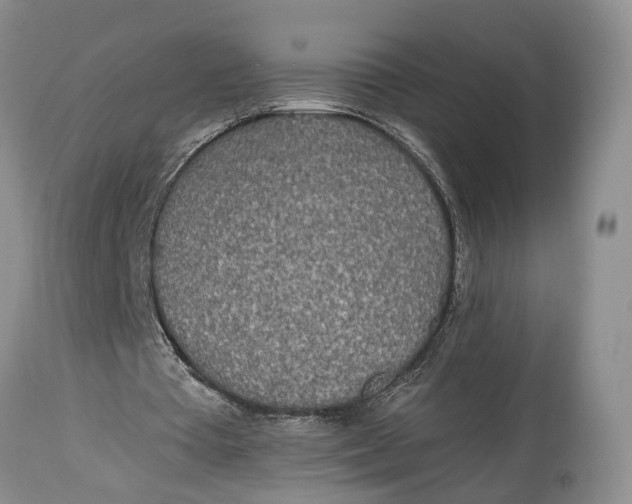 X0000114560385200911091223