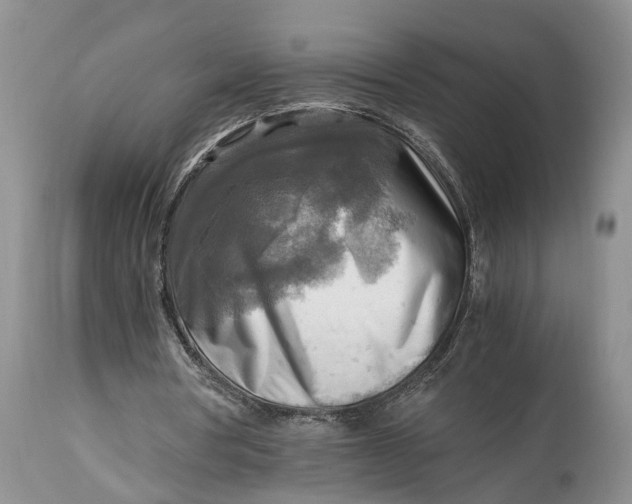 X0000114560386200911091223